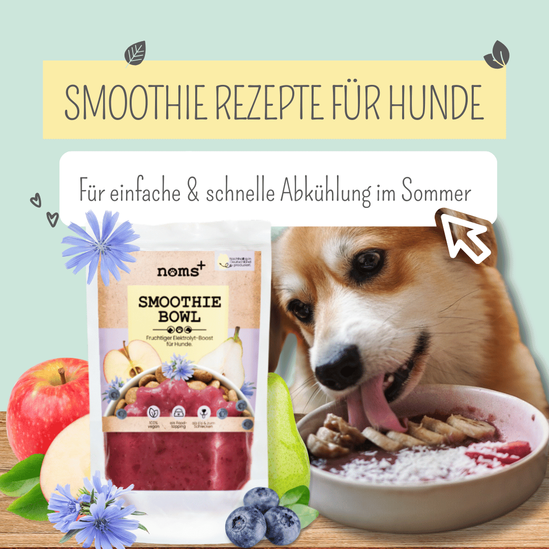 Hunde Abkühlung: Easy Rezepte für Hunde-Smoothies, Hunde-Eis & mehr