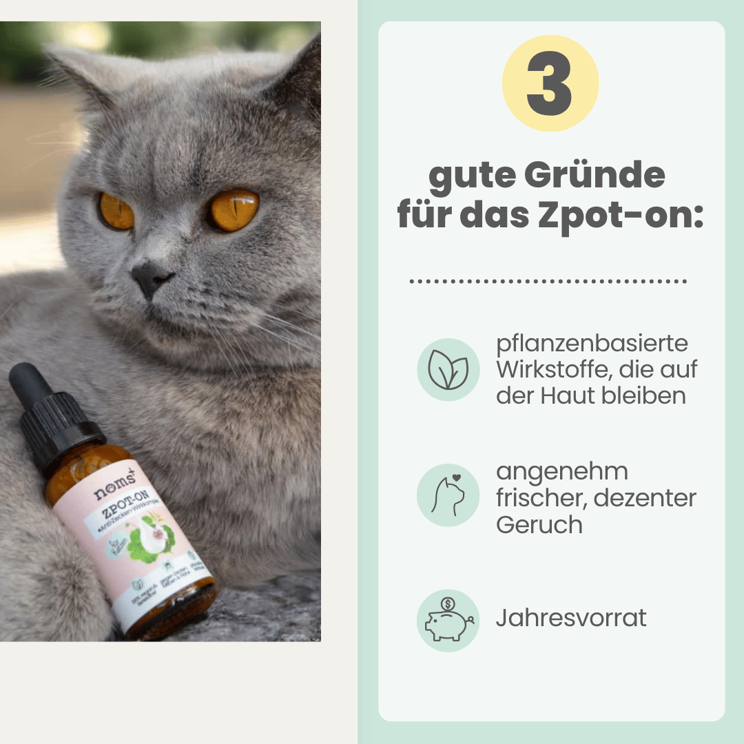 Abwehr-Duo für Katzen