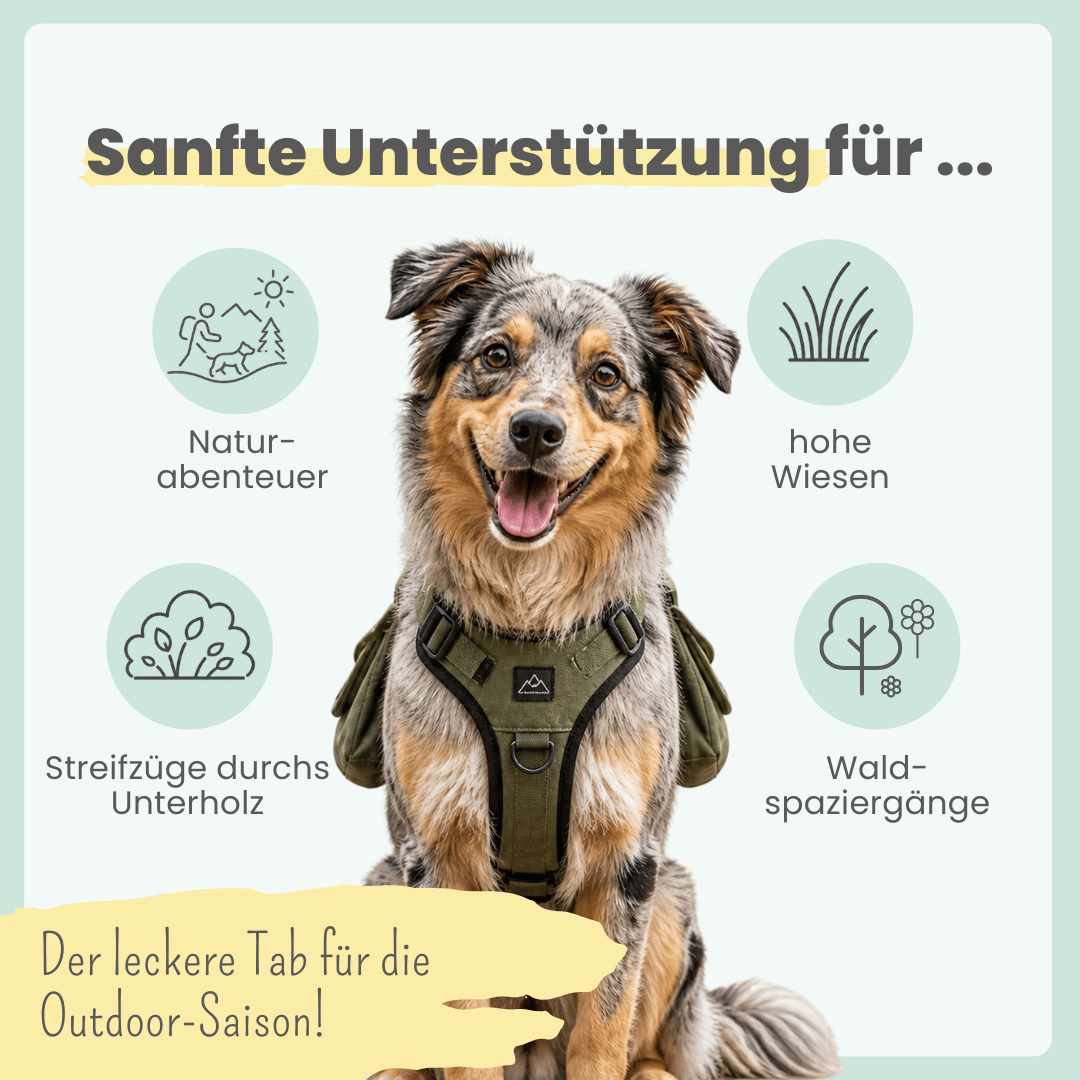 Zistrosen Tabs für Hunde & Katzen