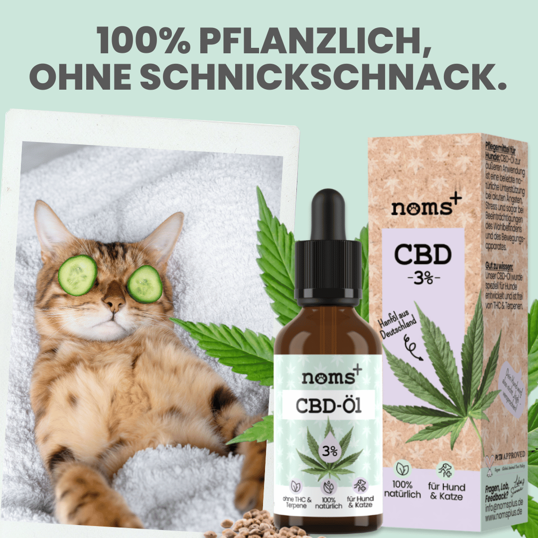 3% CBD Tropfen für Katzen und kleine Hunde 10ml (MHD 01/26)