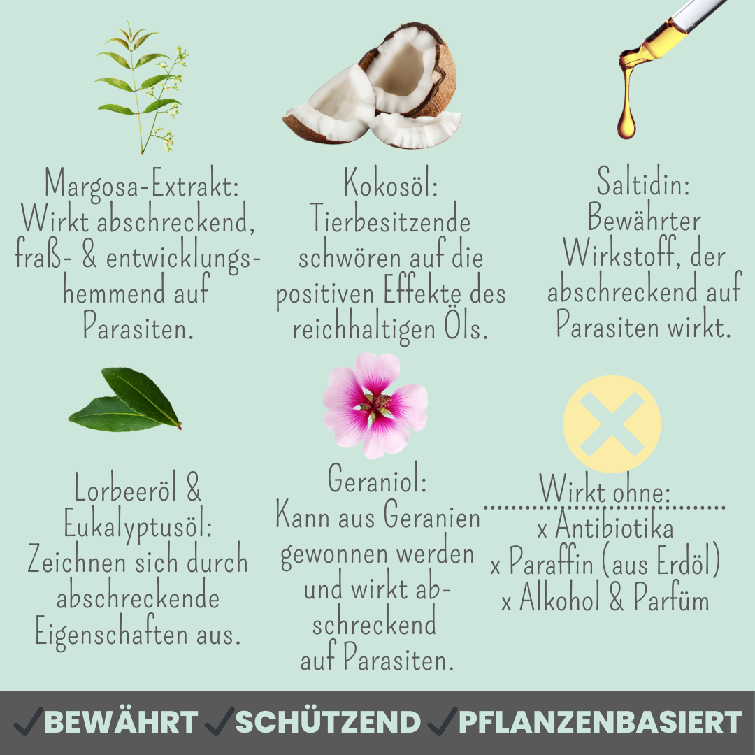 Forte Abwehr-Duo: Zpray & Zpot-on forte & wasserfest