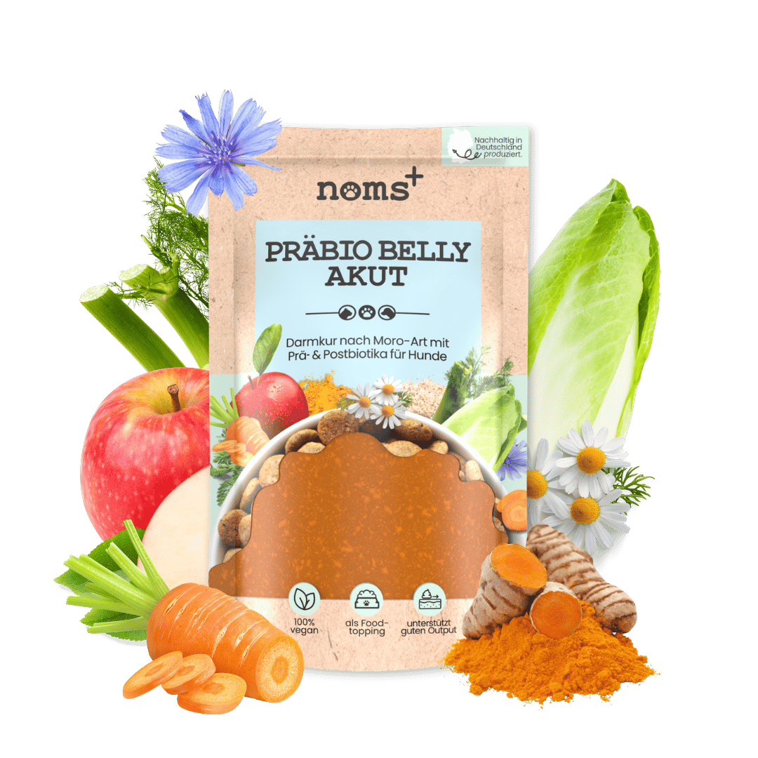 Präbio Belly Akut für Hunde