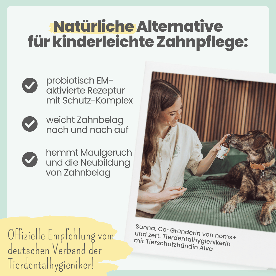 Zahnpflege-Duo