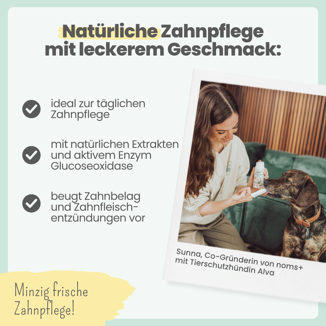 Zahnpflege-Duo