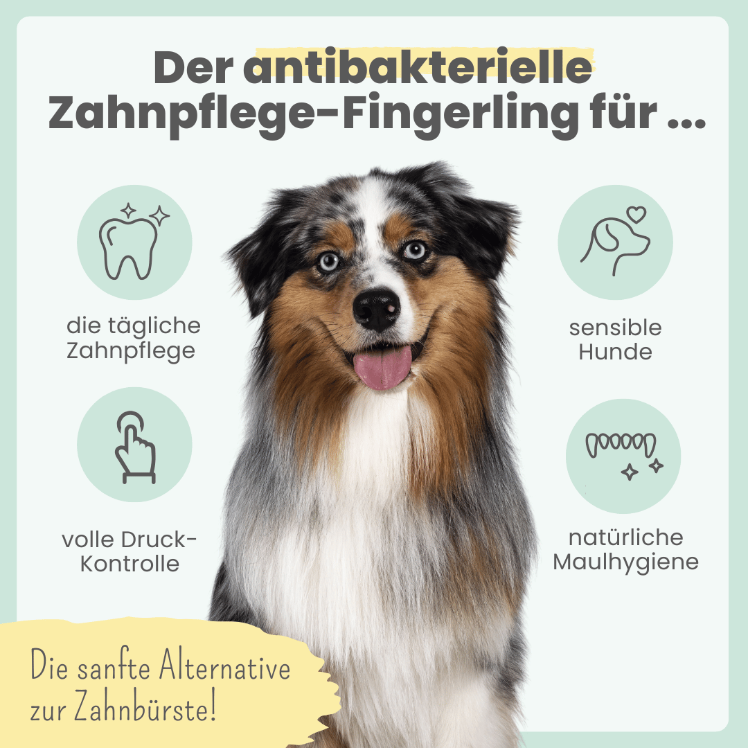 Silberling Fingerling für Hunde