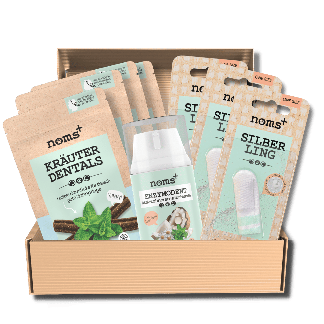 Dental Starter-Kit für Hunde