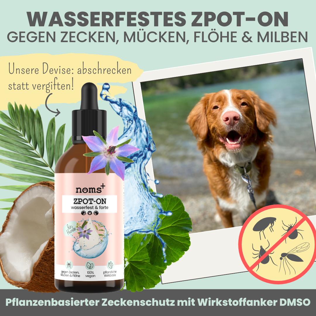 Forte Abwehr-Duo: Zpray & Zpot-on forte & wasserfest