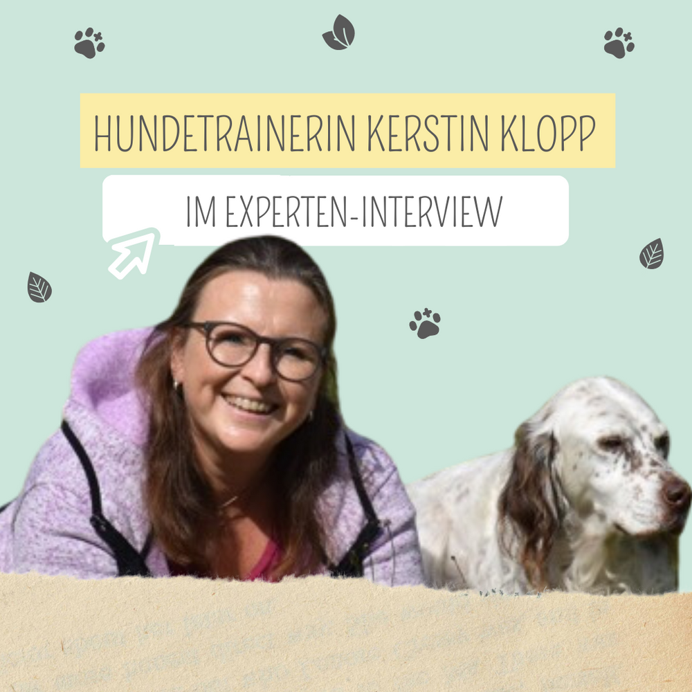 Experten-Interview mit Kerstin Klopp