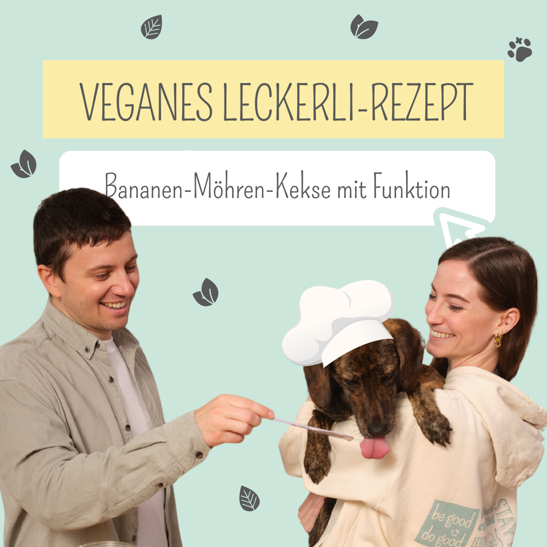Vegane Hundekekse mit Banane