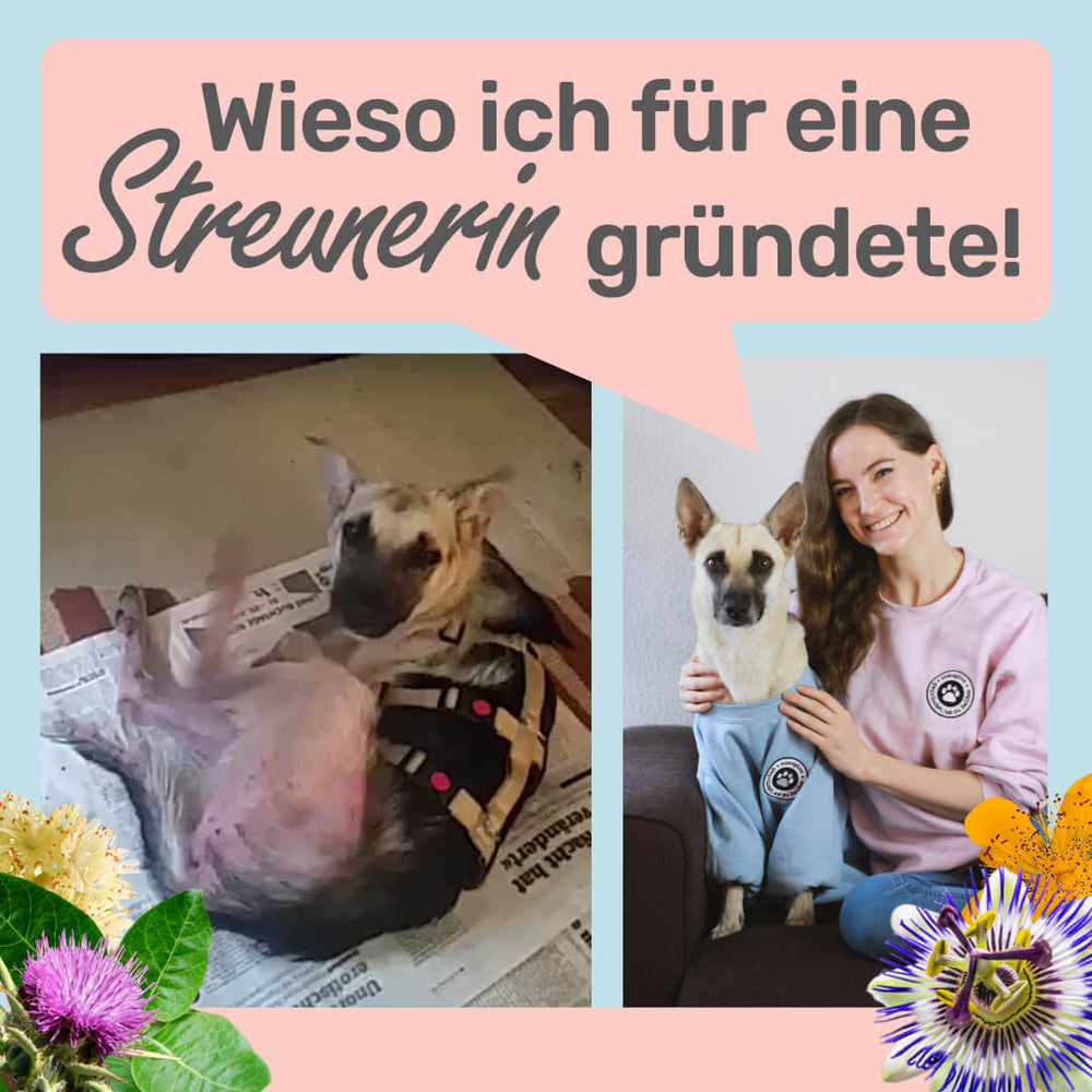 Wie ich für die Straßenhündin meiner besten Freundin gründete
