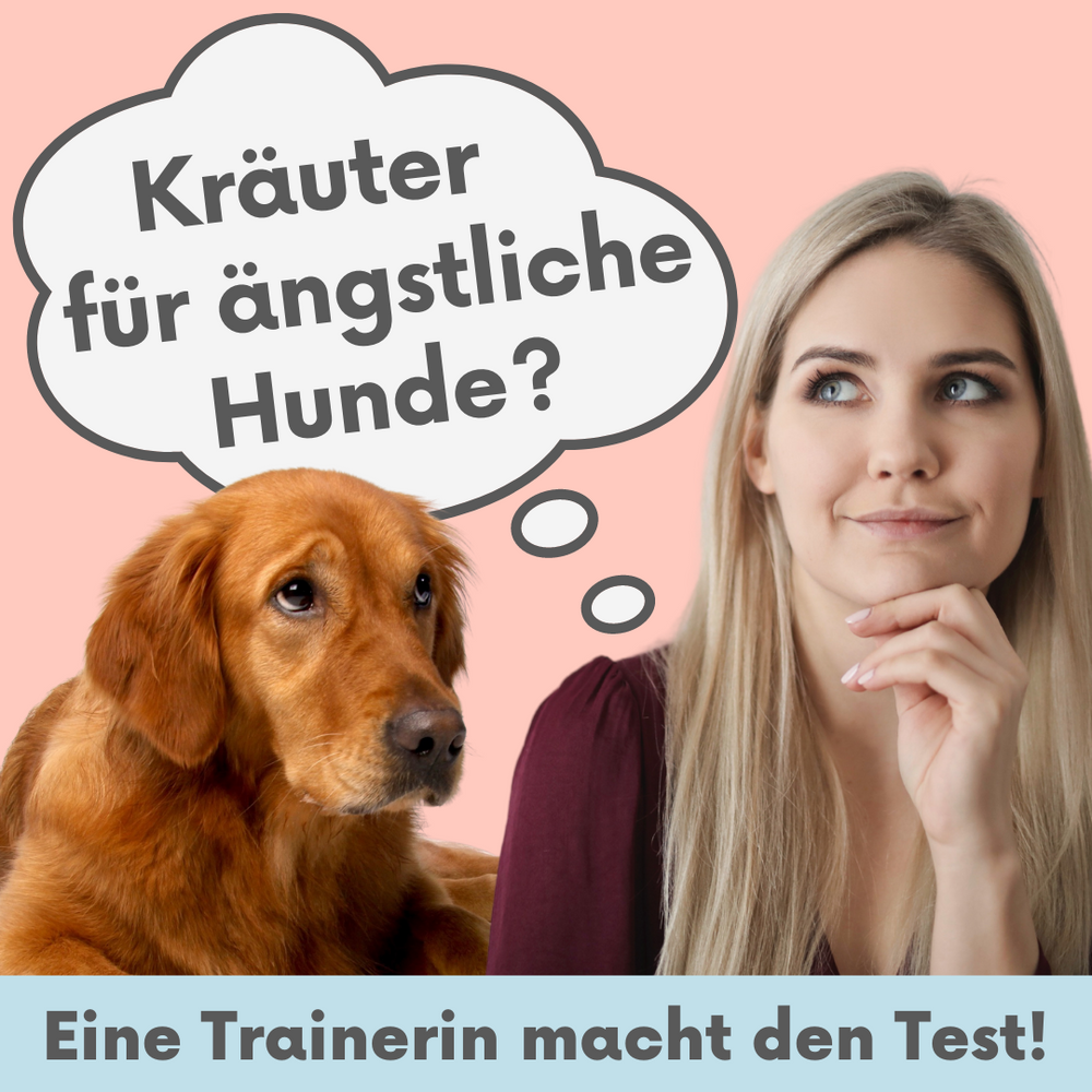 Wohlfühlmix im Test