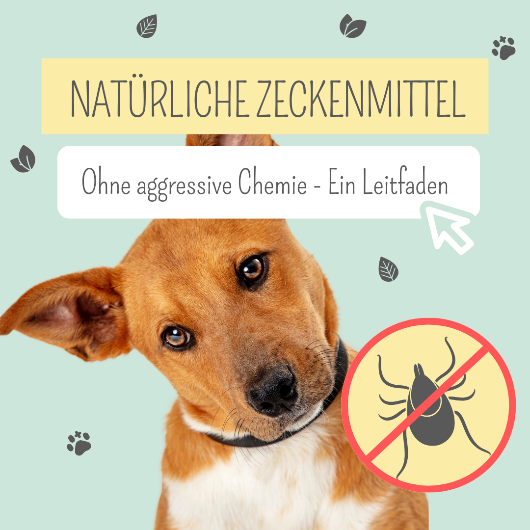Zeckenmittel ohne Chemie