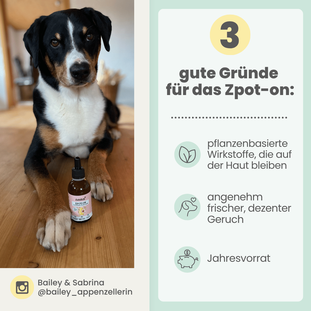 
                  
                    Zpot-on classic für Hunde gegen Zecken, Flöhe, Milben & Mücken [Jahresvorrat]
                  
                