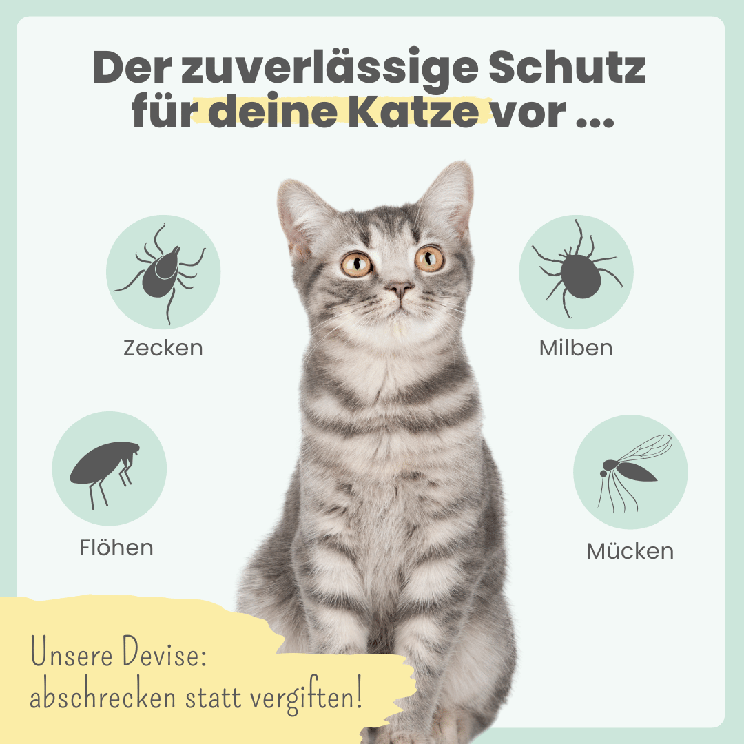Abwehr-Duo für Katzen