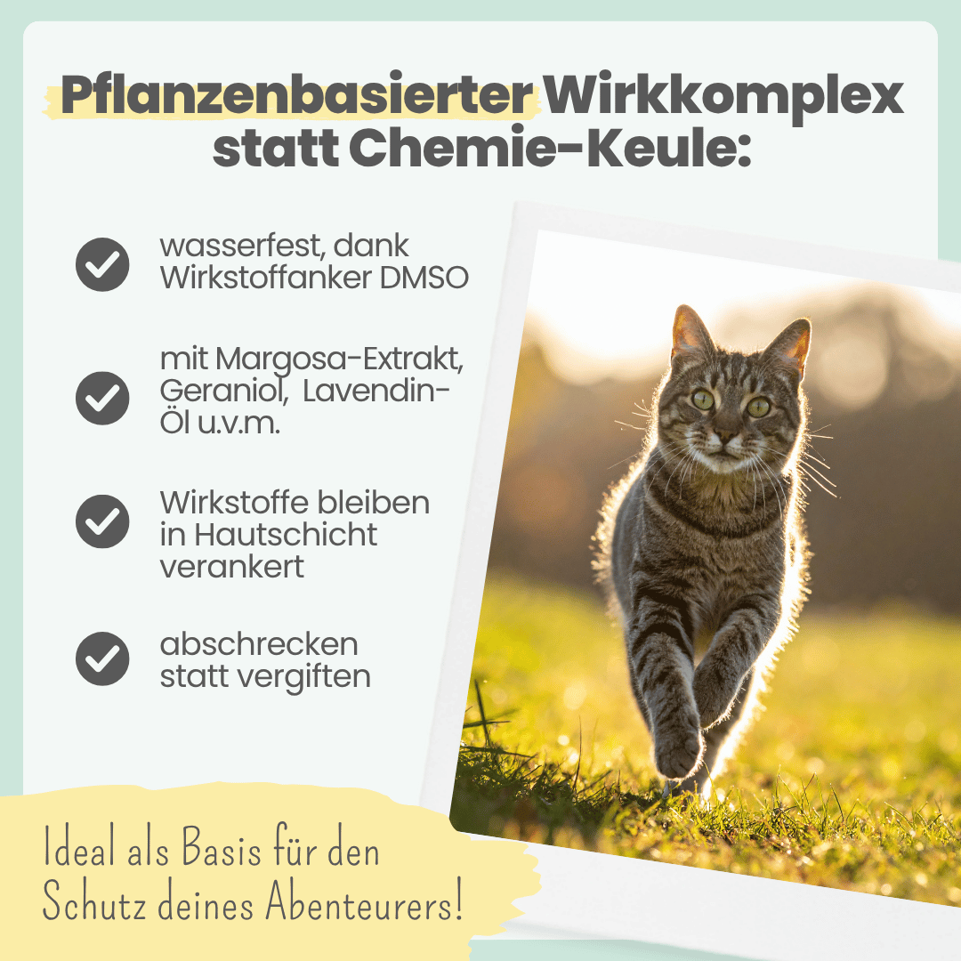 Abwehr-Duo für Katzen