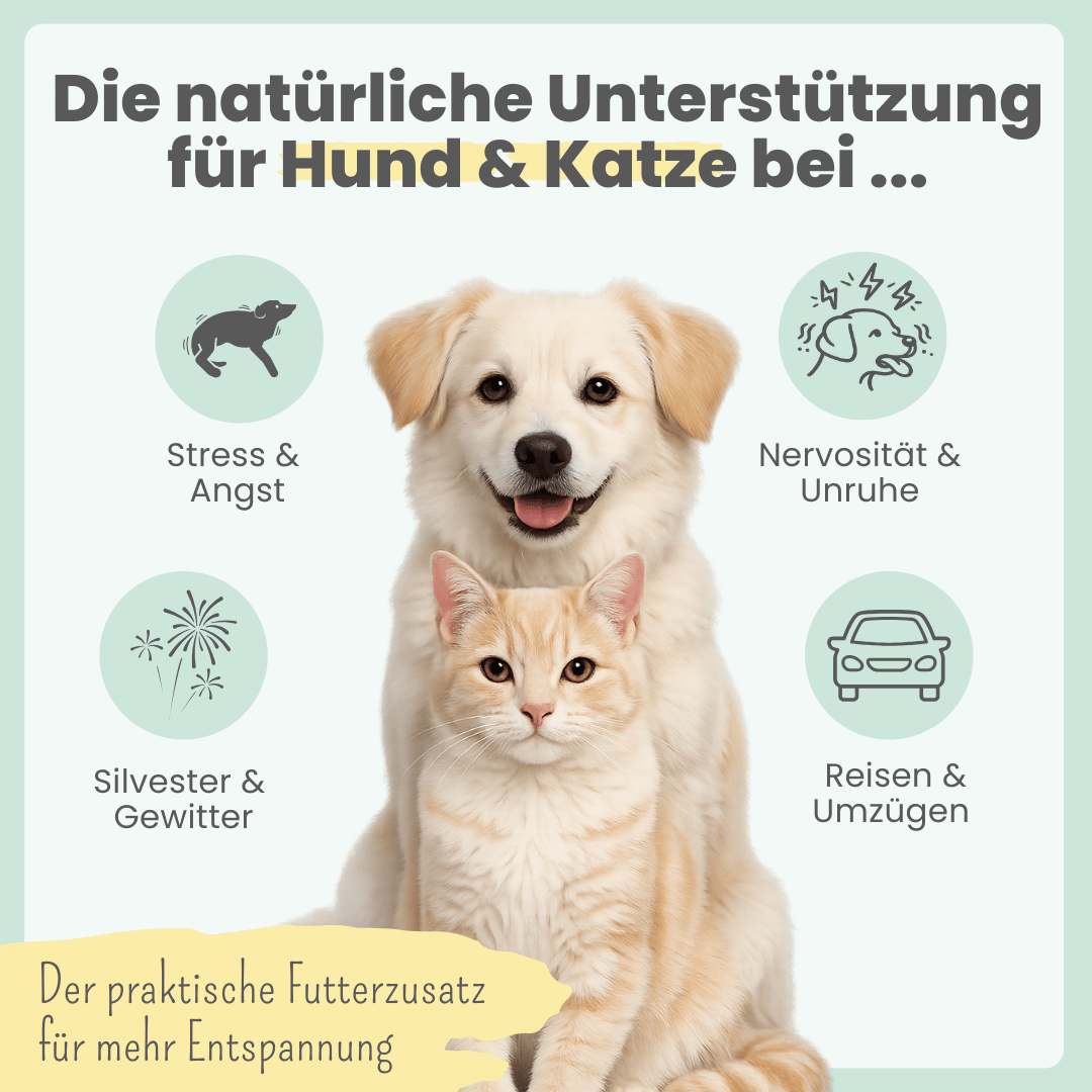 
                  
                    Wohlfühlmix für Hunde & Katzen bei Stress, Angst, Unruhe & Hyperaktivität
                  
                