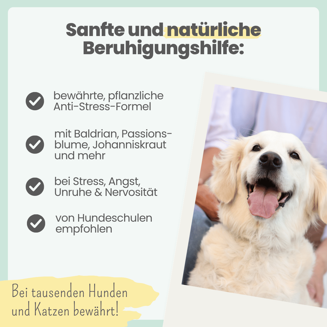 
                  
                    Wohlfühlmix für Hunde & Katzen bei Stress, Angst, Unruhe & Hyperaktivität
                  
                