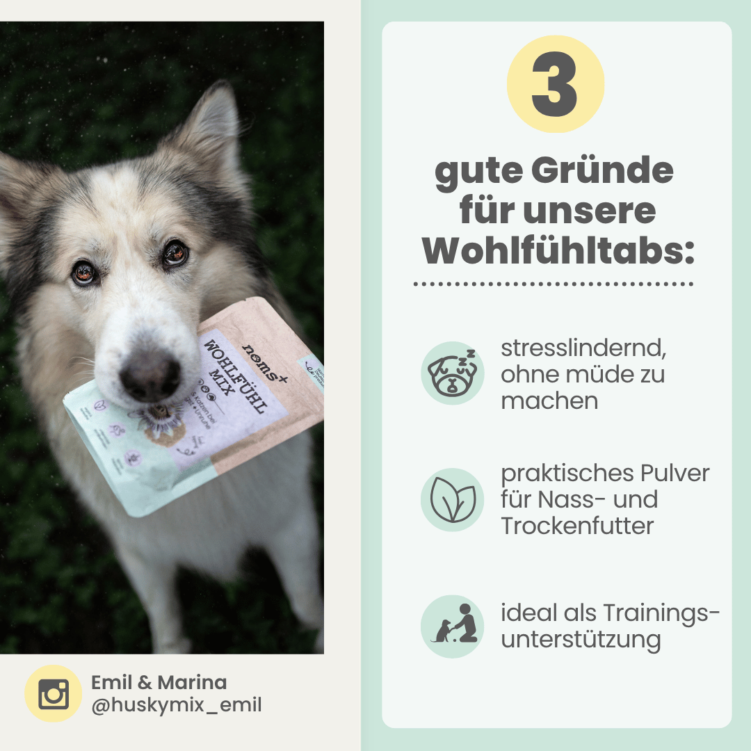 
                  
                    Wohlfühlmix für Hunde & Katzen bei Stress, Angst, Unruhe & Hyperaktivität
                  
                