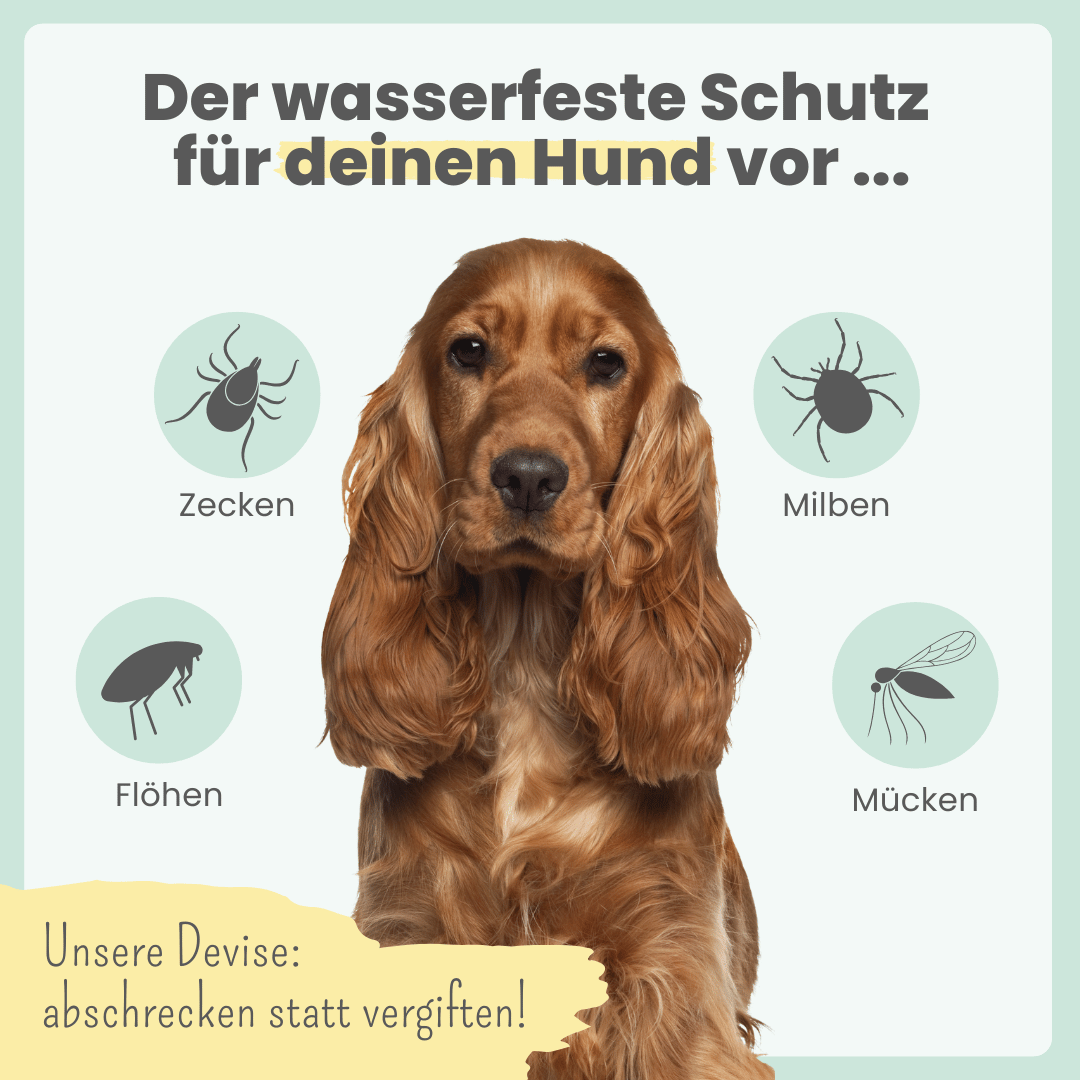 
                  
                    forte Abwehr-Duo: Zpray & Zpot-on forte & wasserfest
                  
                