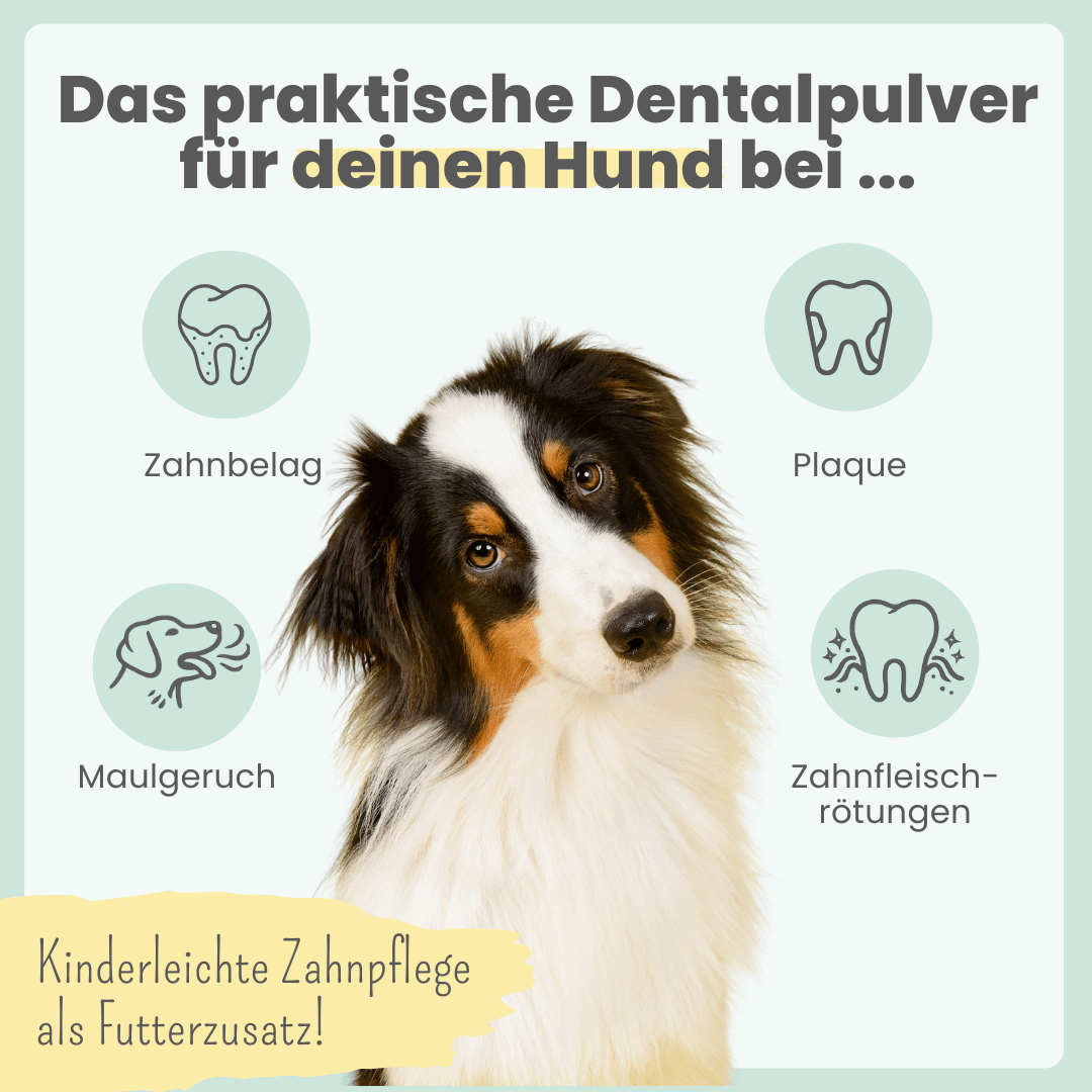 Dentalmix für Hunde