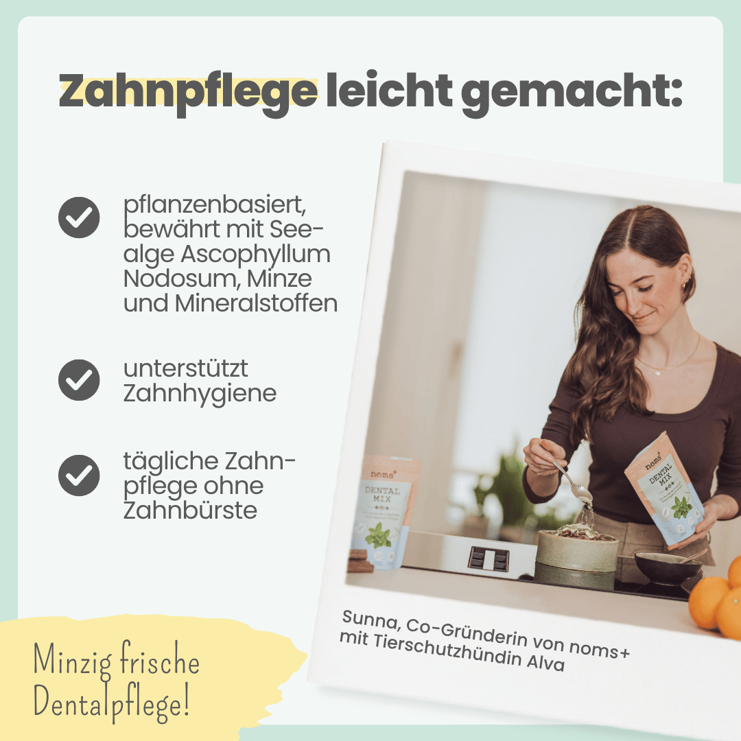 Dentalmix für Hunde