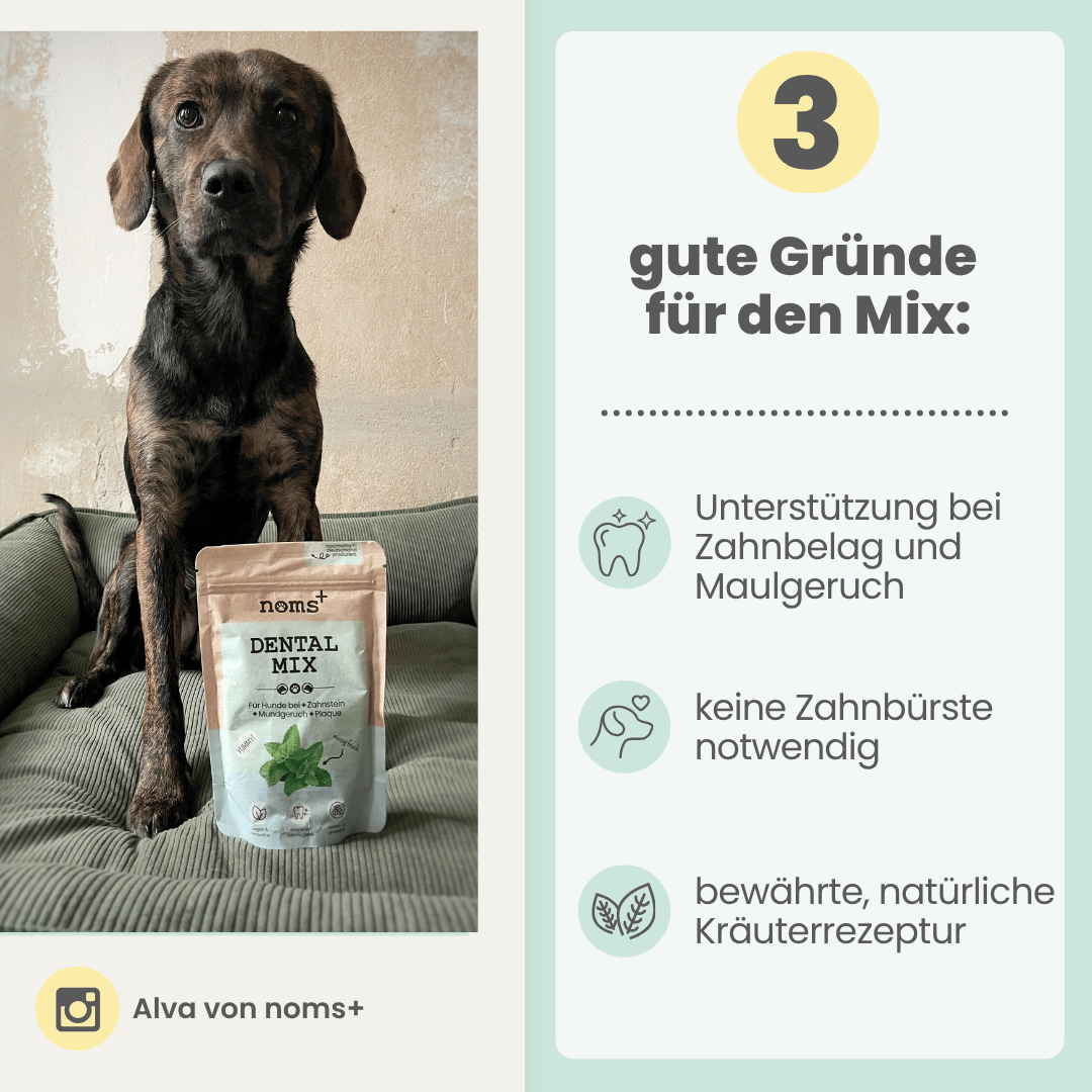 Dentalmix für Hunde