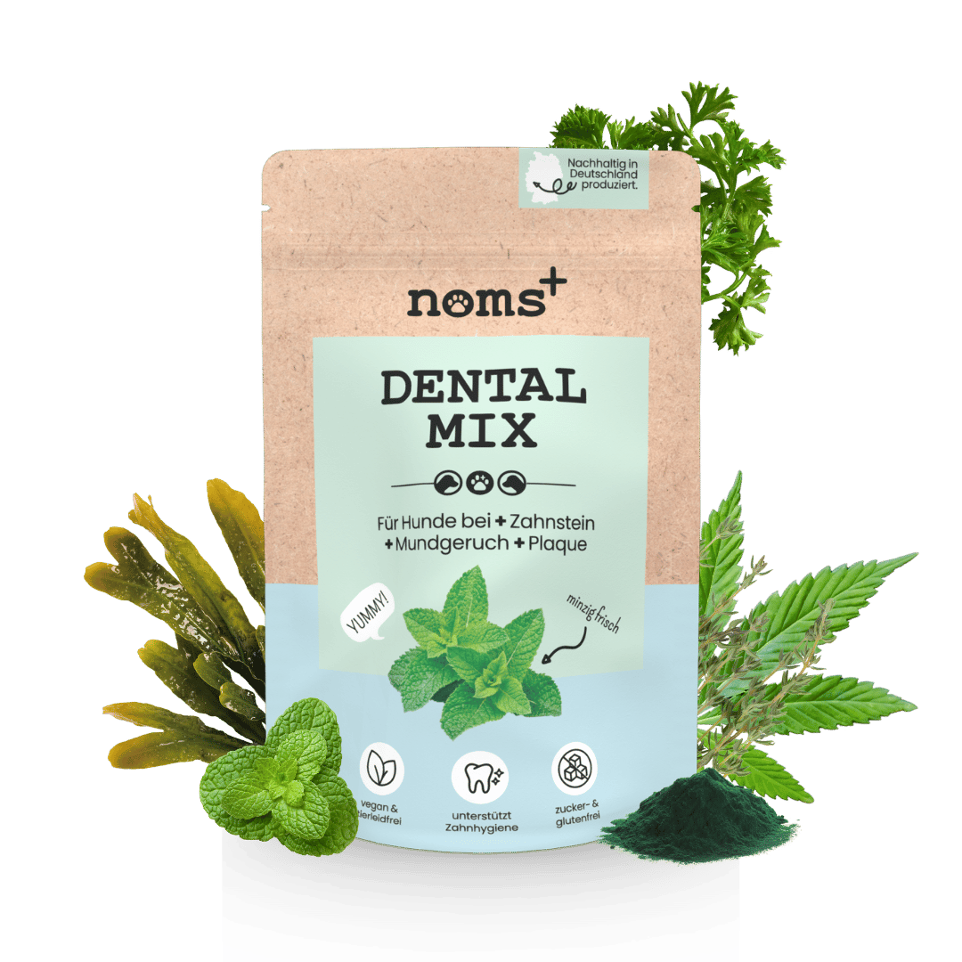 
                  
                    Dentalmix für Hunde zur Zahnpflege und für frischen Atem
                  
                