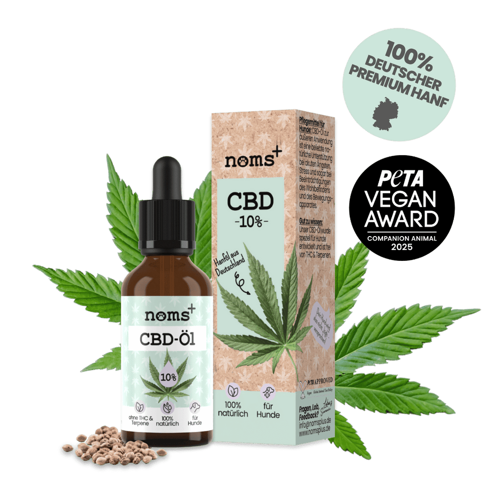 10% CBD Tropfen für Hunde