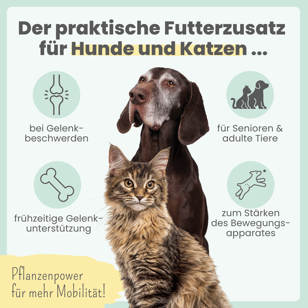
                  
                    Gelenkmix Sensitiv & vegan für Hunde und Katzen mit Teufelskralle, Kurkuma & Glucosamin
                  
                