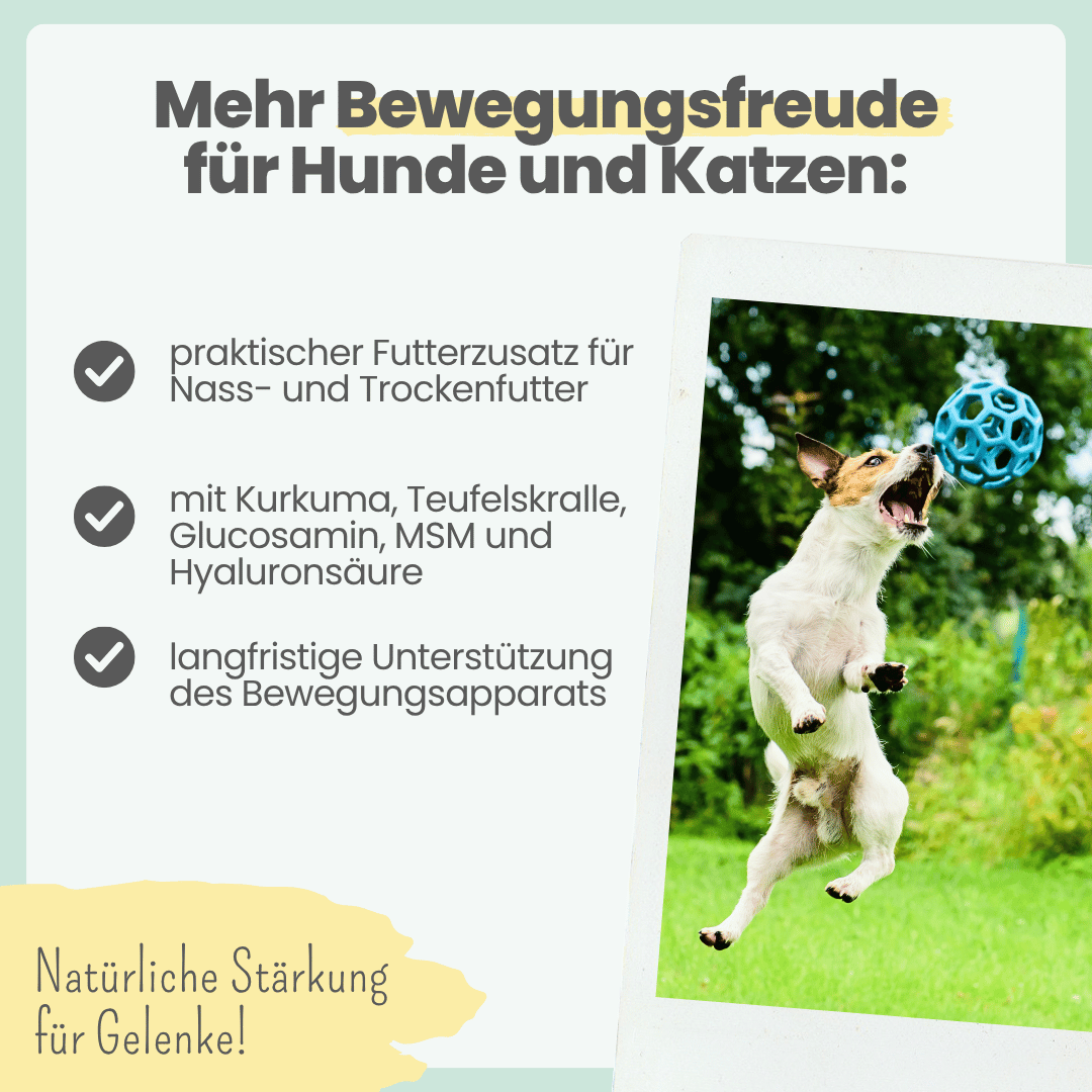 
                  
                    Gelenkmix Sensitiv & vegan für Hunde und Katzen mit Teufelskralle, Kurkuma & Glucosamin
                  
                