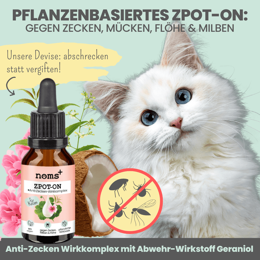 katze plant dich zu töten Pflanzenbasiertes Abwehr-Duo für Katzen – nomsplus
