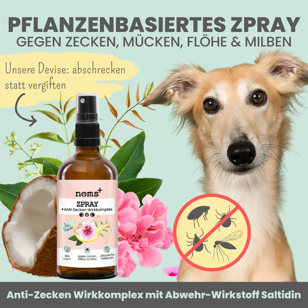 
                  
                    Forte Abwehr-Duo: Zpray & Zpot-on forte & wasserfest
                  
                