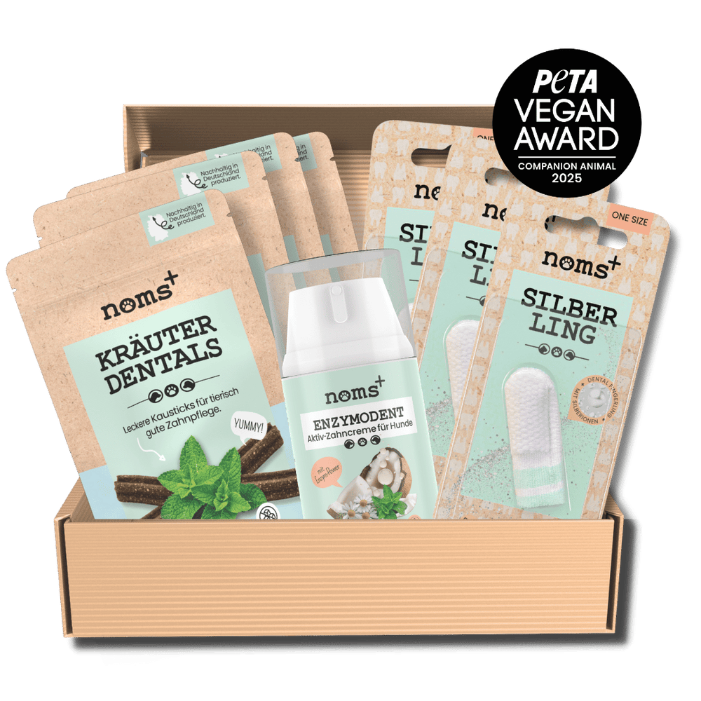 Dental Starter-Kit für Hunde: Enzymodent, 3x Silberlinge + 4x Kräuter Dentals