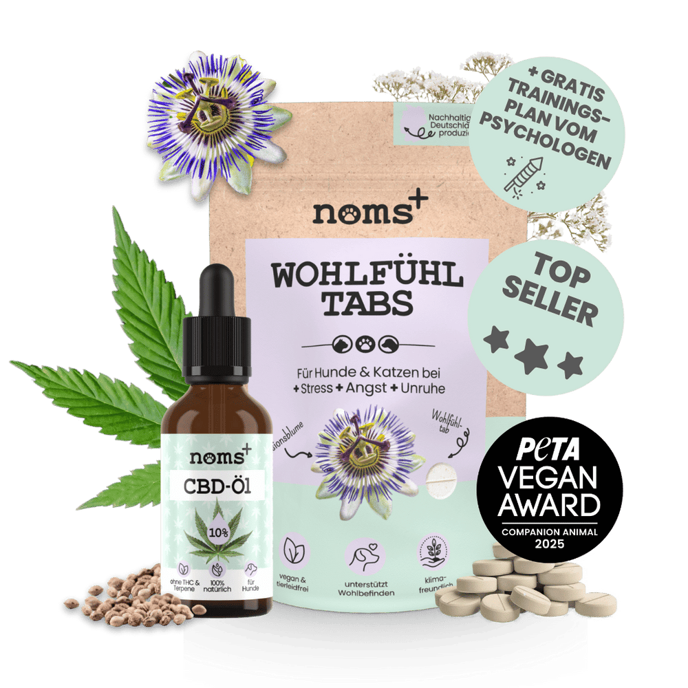 Natürliche Wohlfühl-Hilfe für Hunde im Duo: CBD Öl & Wohlfühltabs