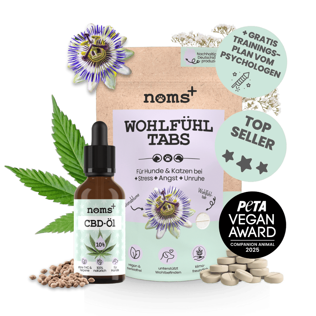 Natürliche Wohlfühl-Hilfe für Hunde im Duo: CBD Öl & Wohlfühltabs