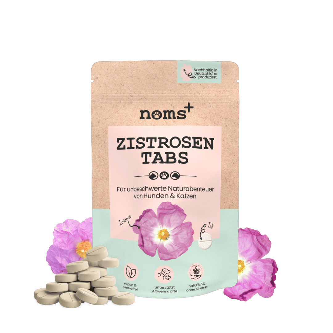 Zistrosen Tabs für Hunde & Katzen