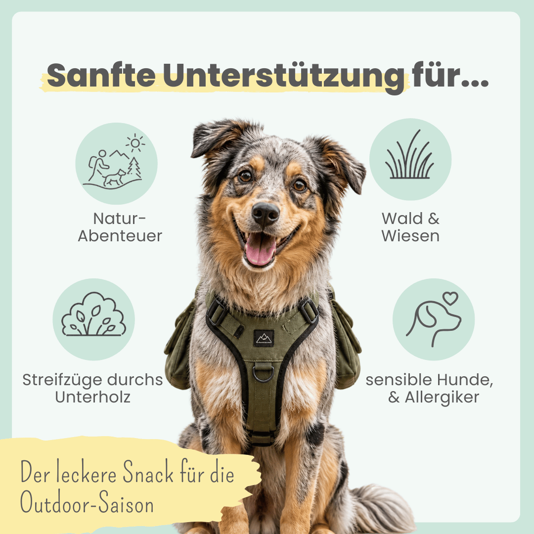 
                  
                    Z-Komplex für Hunde: Leckerer Soft-Snack für Wald & Wiese
                  
                