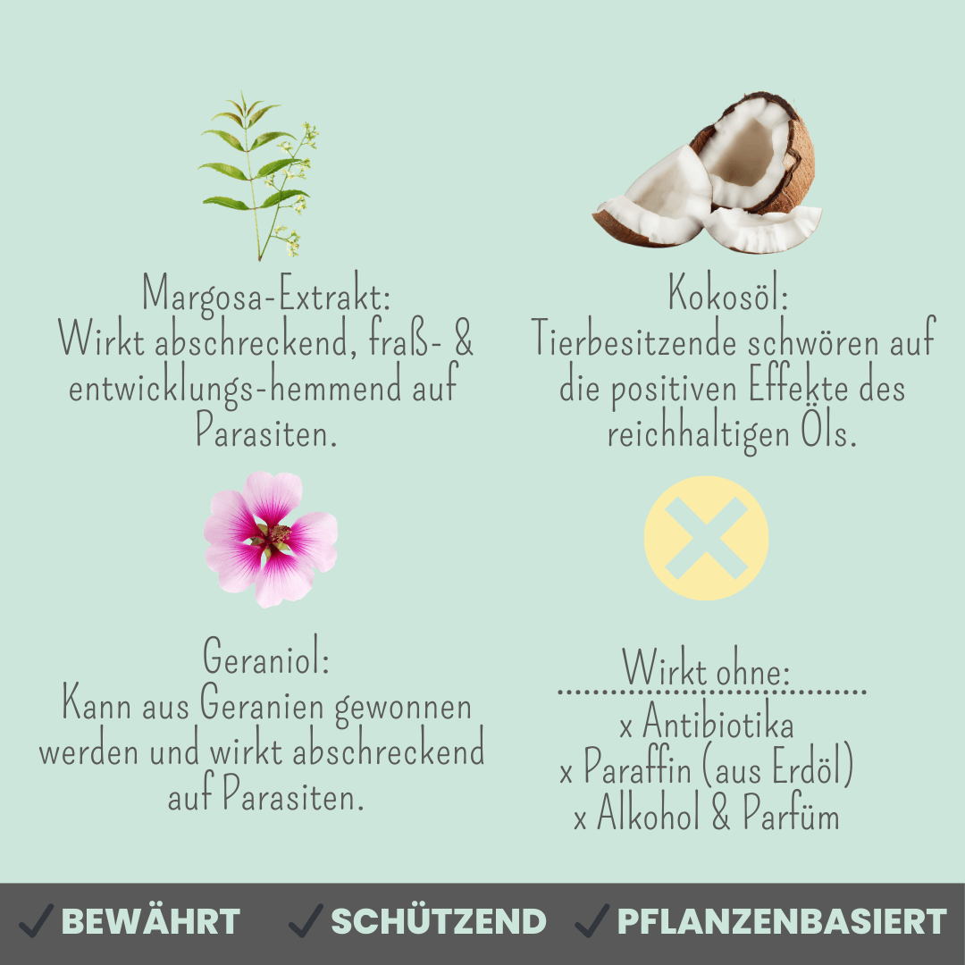 
                  
                    Pflanzenbasiertes Abwehr-Duo für Katzen
                  
                