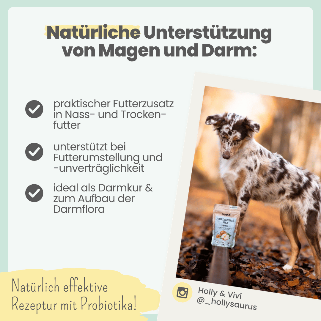 
                  
                    Verdauungsmix für Hunde als Probiotikum für Magen- & Darmflora
                  
                