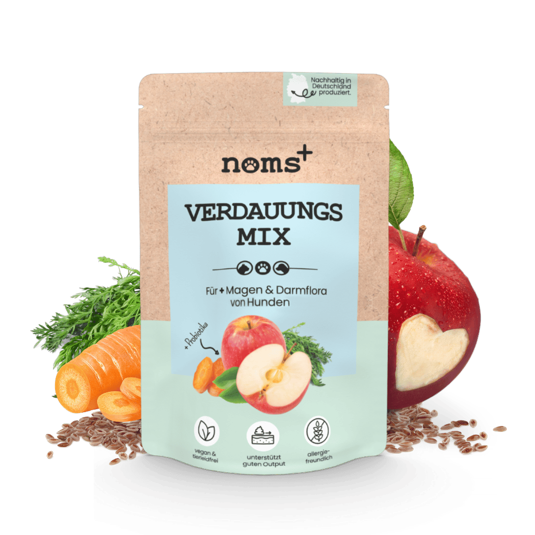 Verdauungsmix für Hunde