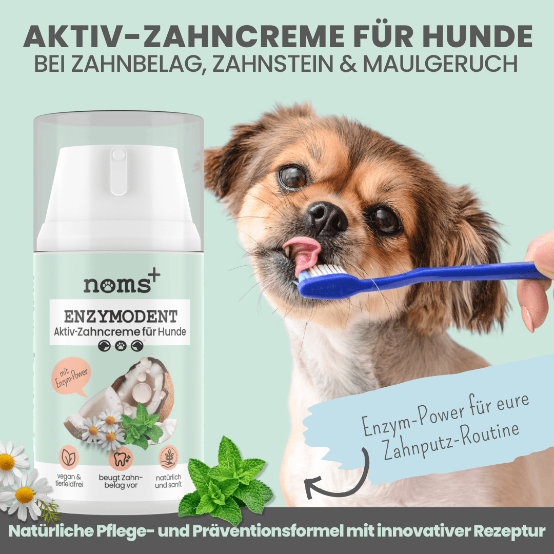 Der vegane Hund-Starter-Set