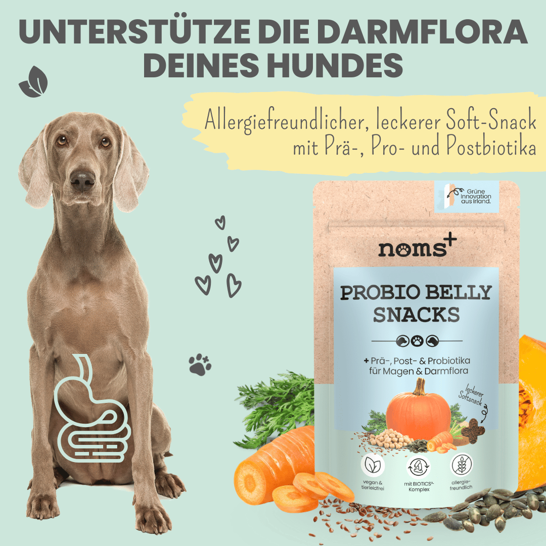 
                  
                    Probio Belly Snacks für Hunde mit BIOTICS³-Komplex: Präbiotika, Probiotika & Postbiotika
                  
                