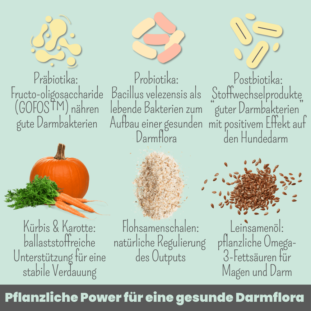 
                  
                    Probio Belly Snacks für Hunde mit BIOTICS³-Komplex: Präbiotika, Probiotika & Postbiotika
                  
                