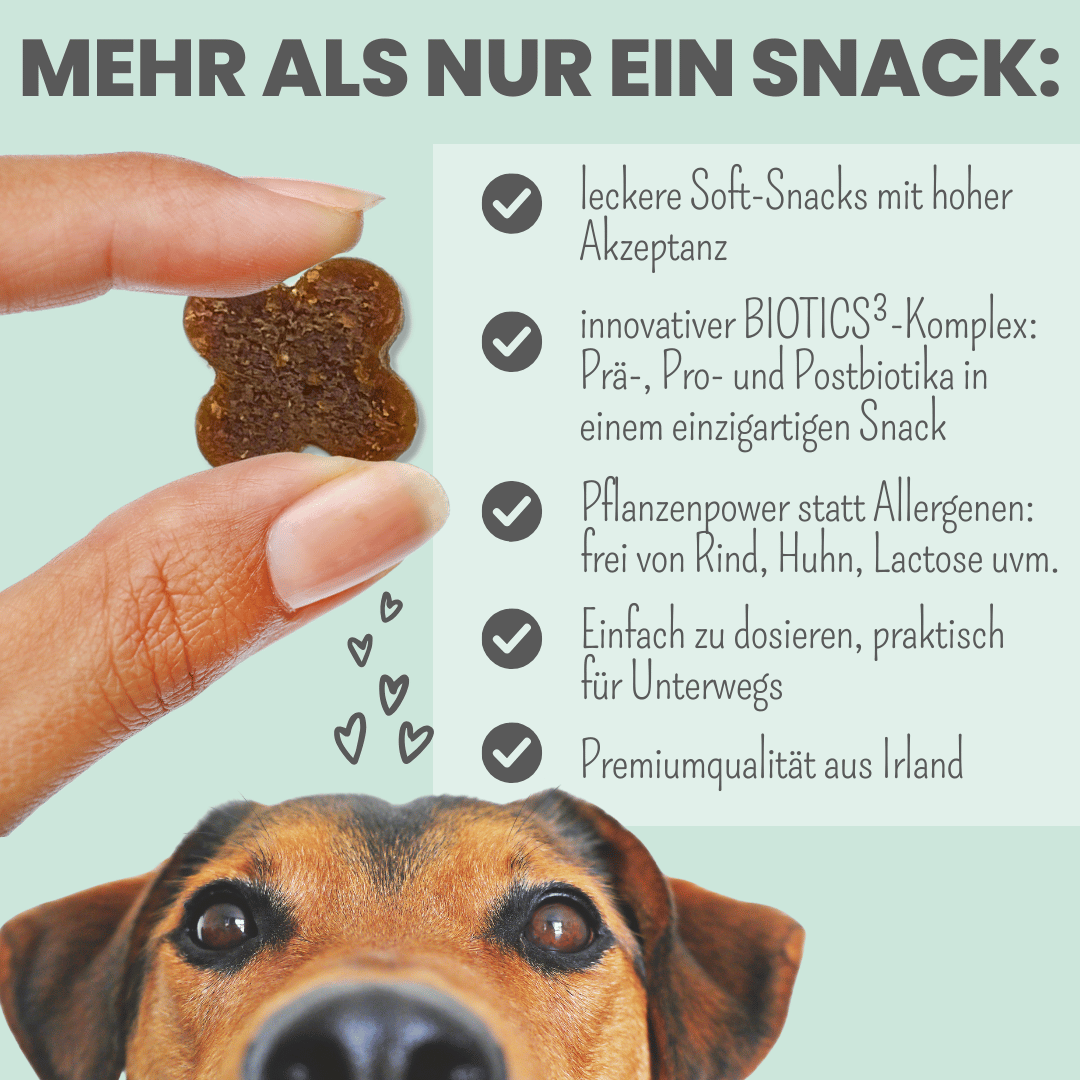 
                  
                    Probio Belly Snacks für Hunde mit BIOTICS³-Komplex: Präbiotika, Probiotika & Postbiotika
                  
                