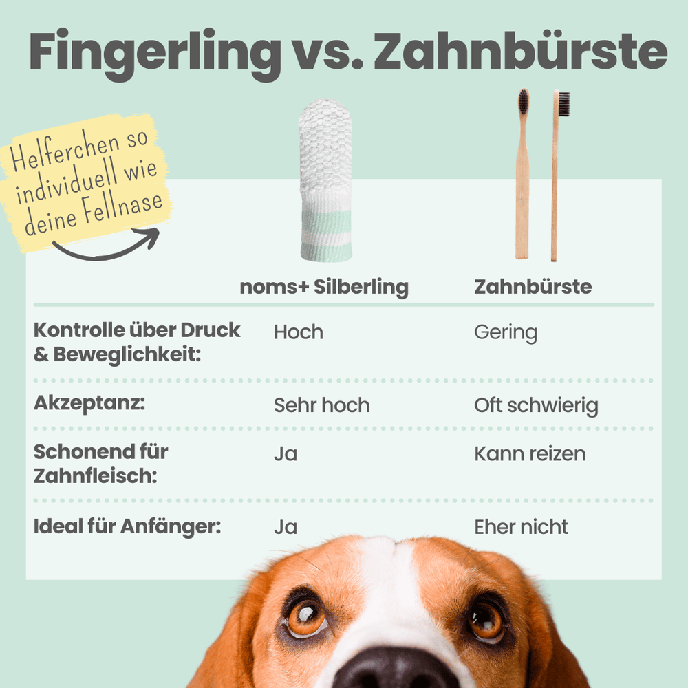 
                  
                    Silberling: Antibakterieller Zahnpflege-Fingerling für Hunde mit Silberionen
                  
                