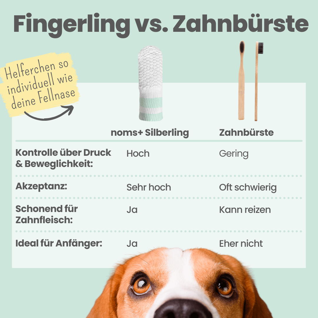 
                  
                    Silberling: Antibakterieller Zahnpflege-Fingerling für Hunde mit Silberionen
                  
                