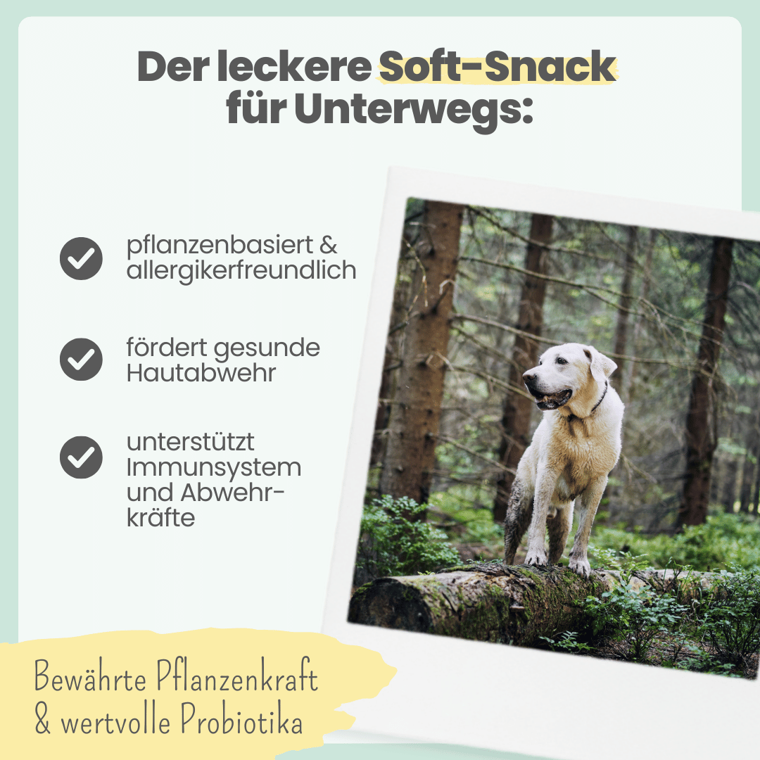 
                  
                    Z-Komplex für Hunde: Leckerer Soft-Snack für Wald & Wiese
                  
                
