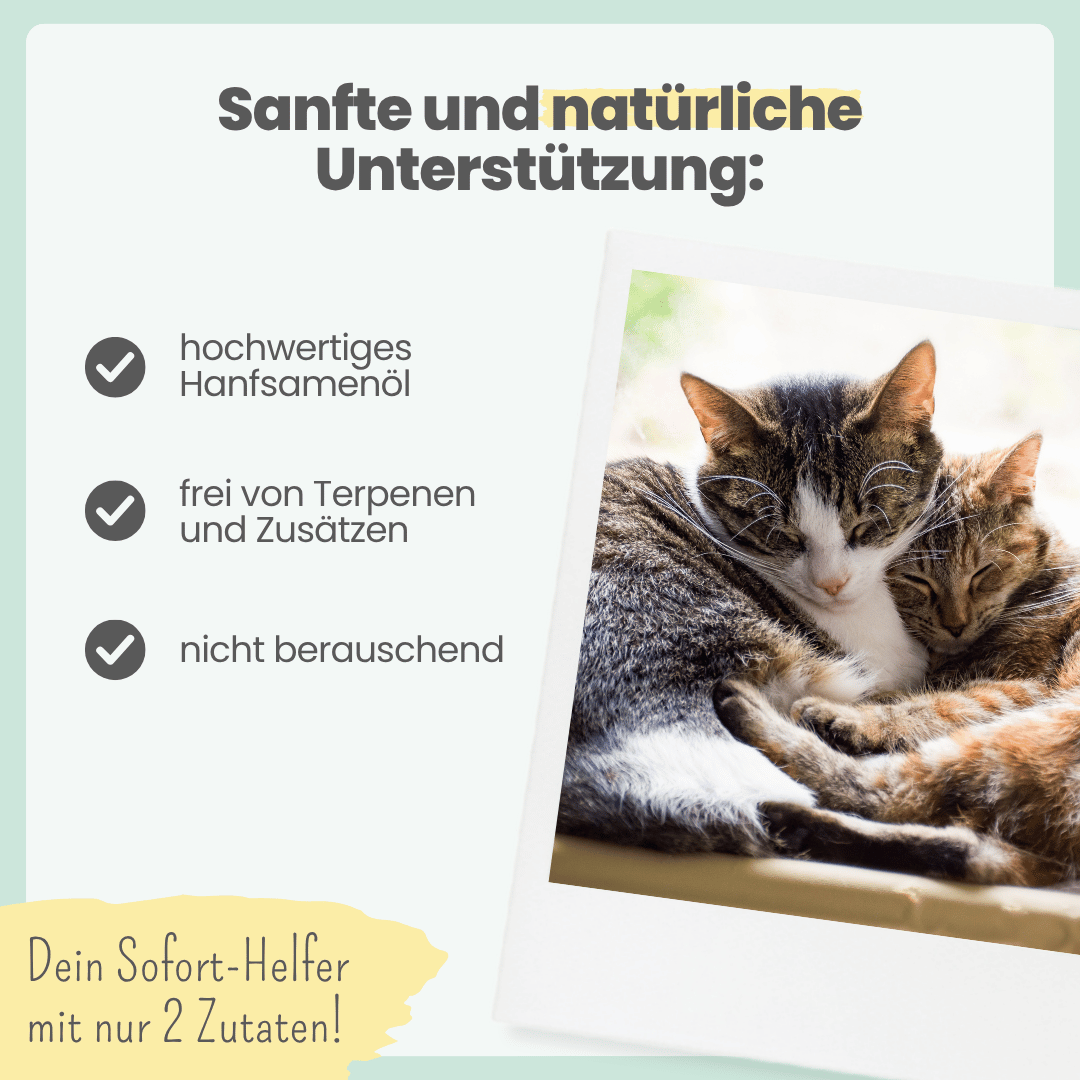 
                  
                    3% CBD Tropfen für Katzen und kleine Hunde 10ml
                  
                