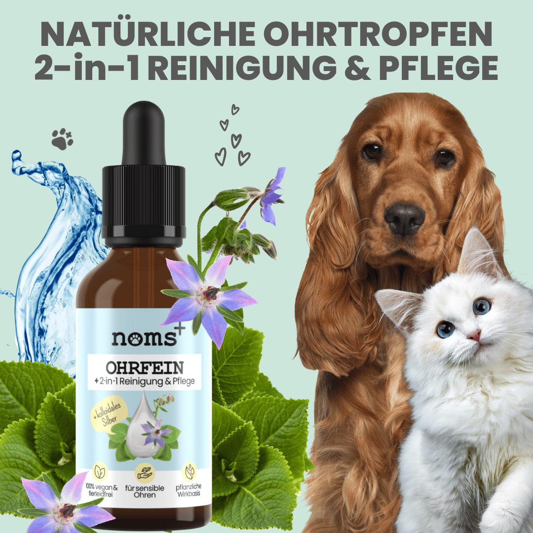 
                  
                    Großes Pflege-Set für Hunde und Katzen
                  
                