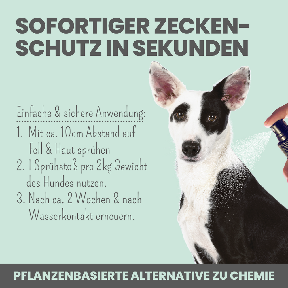 
                  
                    Forte Abwehr-Duo: Zpray & Zpot-on forte & wasserfest
                  
                